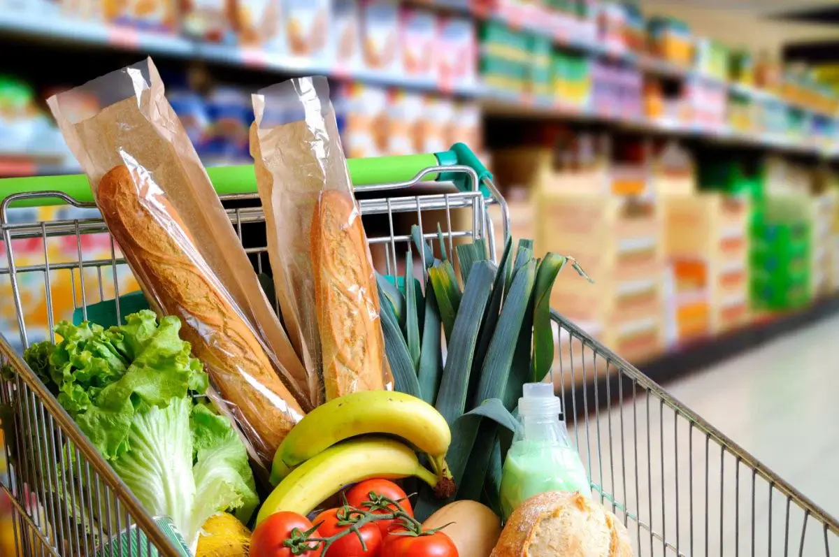 Cesta de la compra con fruta y verdura fresca