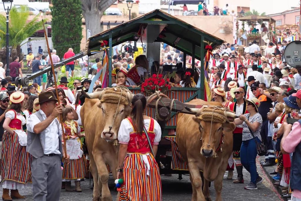 Fiestas de Los Remedios de Tegueste 2026